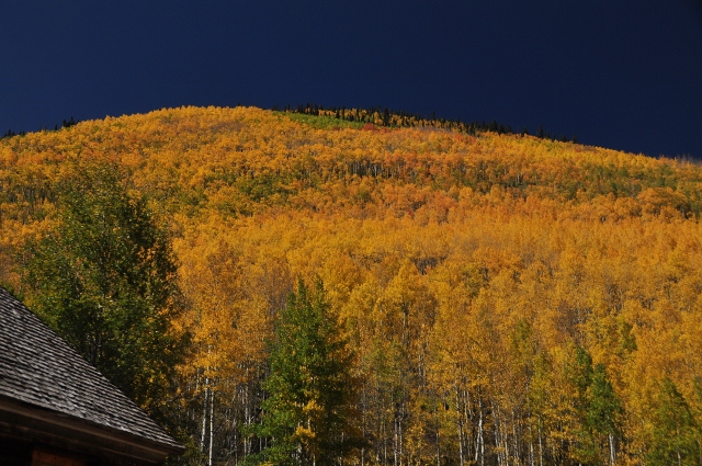 jeep tour to Brown Mountain